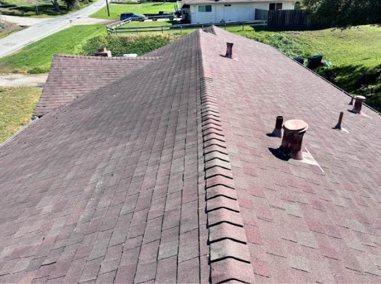 An overhead, wide-angle view of an expansive residential roof with weathered brown asphalt shingles, showing ridge caps and multiple plumbing vent pipes during a physical inspection.