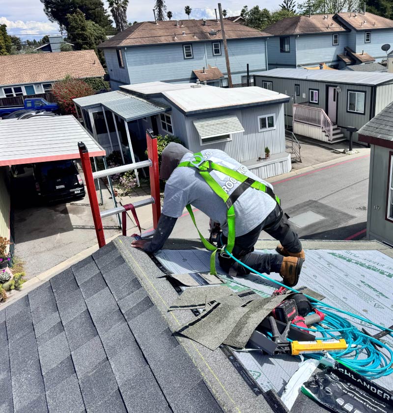 An Alo's Roofing professional wearing a safety harness installs asphalt shingles on a residential roof in a coastal neighborhood.
